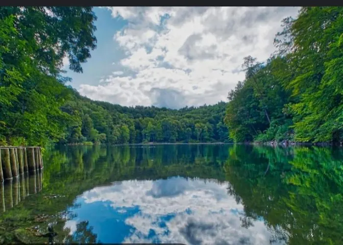 Gwiazdeczka Lägenhet